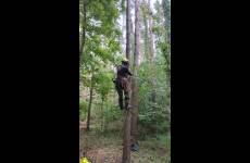 Część praktyczna narady - omówienie technik linowych i arborystycznych.