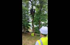 Część praktyczna narady - omówienie technik linowych i arborystycznych.